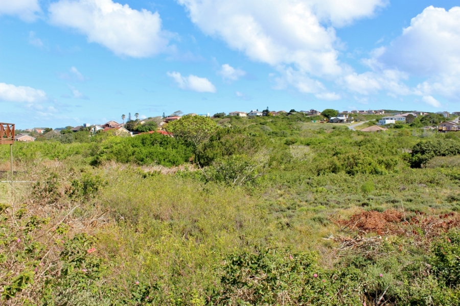 0 Bedroom Property for Sale in Forest Downs Eastern Cape